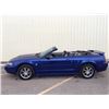 Image 2 : 2004 FORD MUSTANG CONVERTIBLE