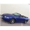 Image 3 : 2004 FORD MUSTANG CONVERTIBLE