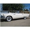 Image 2 : 1957 FORD THUNDERBIRD