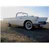 Image 3 : 1957 FORD THUNDERBIRD