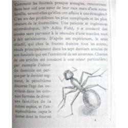 MAETERLINCK, Maurice.- La vie des abeilles.-...
