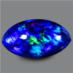 Natural Harlequin Black Opal 2.035 carats