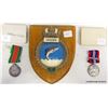 Image 1 : MILITARY WAR MEDALS AND PLAQUE