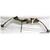 Image 1 : HOYT RAIDER INTRUDER COMPOUND BOW