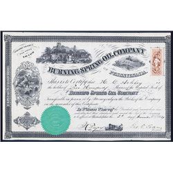 Burning Spring Oil Co. Issued Stock.