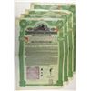 Image 1 : Imperial Chinese Government 5% Hukuang Railways Sinking Fund Gold Loan of 1911. Deutsche-Asiatische 