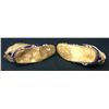 Image 8 : Cheyenne Beaded Moccasins Circa 1900