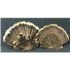 Image 1 : Pair of Turkey Tail Fans