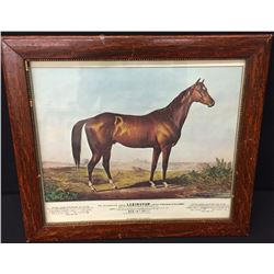 Vintage Celebrated Horse Lexington Lithograph