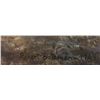 Image 2 : Robert Bateman Print Barn Swallow