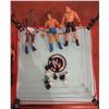 Image 1 : World Wrestling Entertainment