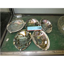5 Abalone shells