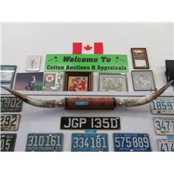 Wall mounted Steer horns