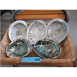 5 Abalone shells in basket