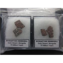 4 x 1 Million Year Old Dinosaur Eggshells