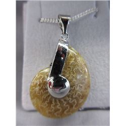 Ammolite Fossil Pendant with Chain