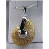 Image 1 : Ammolite Fossil Pendant with Chain