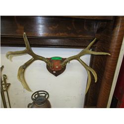 Pair of mounted Antlers