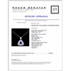 Image 3 : 18K White Gold 4.13ct Tanzanite & 1.35ct Diamond P