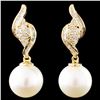 Image 1 : 18K Gold 10MM Pearl & 0.34ctw Diamond Earrings