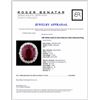 Image 4 : 18K White Gold 15.55ct Ruby & 3.34ct Diamond Ring