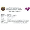 Image 2 : 12.63ctw Oval Mixed Ruby Parcel