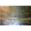 Image 1 : JERRY MARJORAM Oil on board A Woodland Stream Signed lower left Majoram 35cms x 52cms...