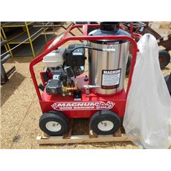 EASY KLEEN MAGNUM 4000 SERIES GOLD - STEAM/PRESSURE WASHER