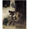 Image 1 : De hond en de ekster                              