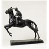Jockey te paard                                   