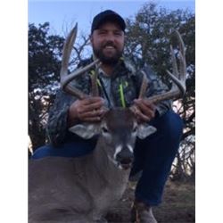 3-Day 1x1 Management Whitetail Buck Hunt for One Hunter and One Non-Hunter in Texas - Includes Taxid