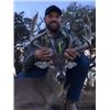 Image 1 : 3-Day 1x1 Management Whitetail Buck Hunt for One Hunter and One Non-Hunter in Texas - Includes Taxid