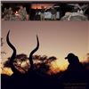 Image 1 : 7-Day Plains Game Safari for One Hunter in South Africa - Includes Trophy Fees - Trophy Game Safaris