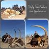 Image 2 : 7-Day Plains Game Safari for One Hunter in South Africa - Includes Trophy Fees - Trophy Game Safaris