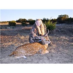 4-Day/3-Night Trophy Axis Hunt for One Hunter and One Non-Hunter on the Nicholson Ranch in Texas - I