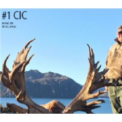 4-Day Red Stag Hunt for One Hunter and One Non-Hunter in New Zealand - Includes Trophy Fee - Cardron