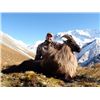Image 1 : 4-Day New Zealand Safari for Two Hunters - Includes Trophy Fees AND Trophy Credit - Four Seasons Saf