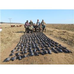 7-Day/8-Night Feathers and Fur Hunt for Two Hunters in South Africa – Includes Trophy Fees - Umdende
