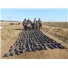 Image 1 : 7-Day/8-Night Feathers and Fur Hunt for Two Hunters in South Africa – Includes Trophy Fees - Umdende