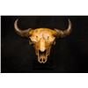 Image 1 : “Red Thunder” ½ Life-size Bison Skull Bronze with Stand by Dick Idol