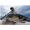 Image 1 : 4-Night/3-Day All-Inclusive Fishing Adventure for Four Anglers in Panama - Hooked on Panama