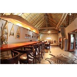 7-Day Plains Game Hunt for One Hunter in Namibia - Includes Trophy Fees - Chapungu-Kambako Safaris