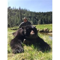 5-Day Vancouver Island Coastal Black Bear Hunt for One Hunter