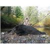 Image 3 : 5-Day Vancouver Island Coastal Black Bear Hunt for One Hunter