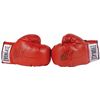 Image 1 : Mike Tyson