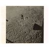 Image 1 : Guenter Wendt’s Signed Collection of Apollo 11 Photographs