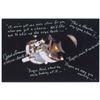 Image 1 : Apollo 13: Jack Lousma Oversized Signed Photograph