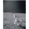 Image 3 : Apollo 14 Lunar Surface-Used Safety Line Segment