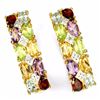 Image 1 : Natural Multi Gemstone Earrings