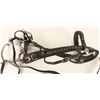 Image 2 : Black Leather Bridle